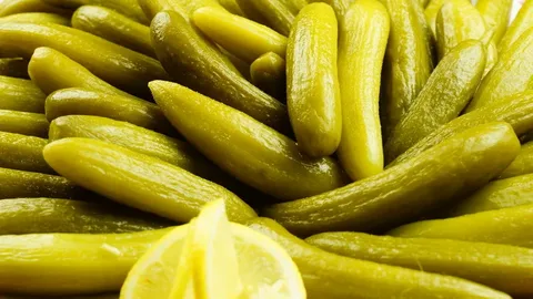 قیمت و خرید خیارشور صادراتی + فروش ارزان